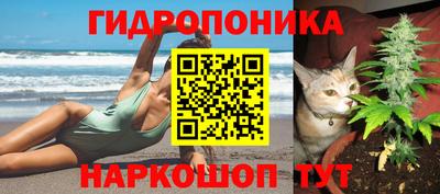 apvp Балашиха