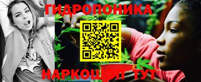 apvp Балашиха