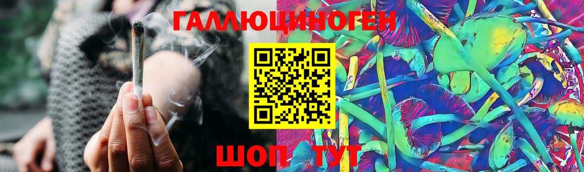 Псилоцибиновые грибы MAGIC MUSHROOMS Выборг