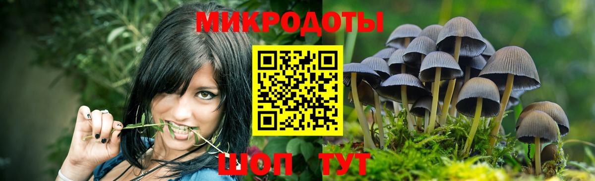 Галлюциногенные грибы Cubensis  Вход с VPN  Выборг 